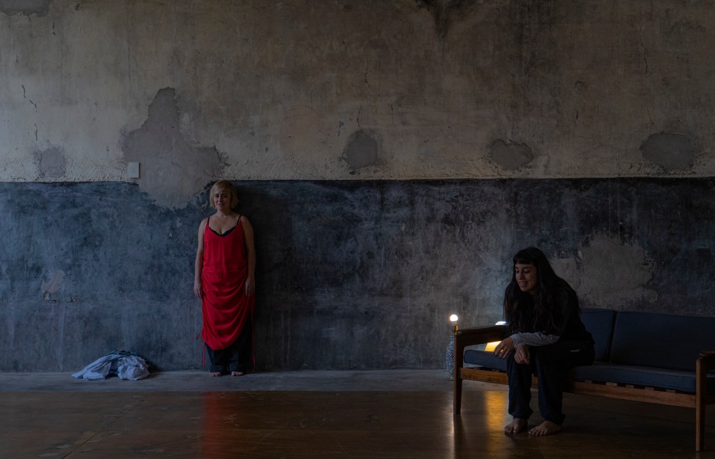 «Estoy acá sin fin», de Leticia&nbsp;Coronel.